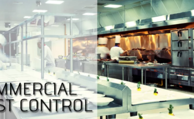 Pest control service