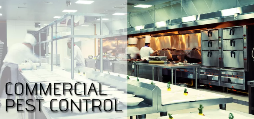 Pest control service