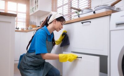 Pest Control Services