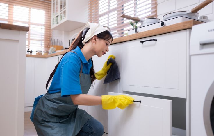 Pest Control Services