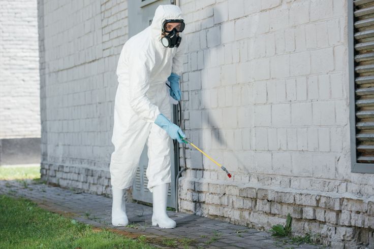 pest control services near me