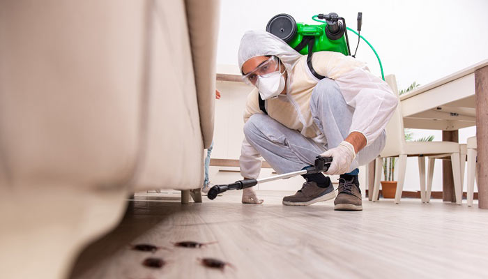 pest control Calgary