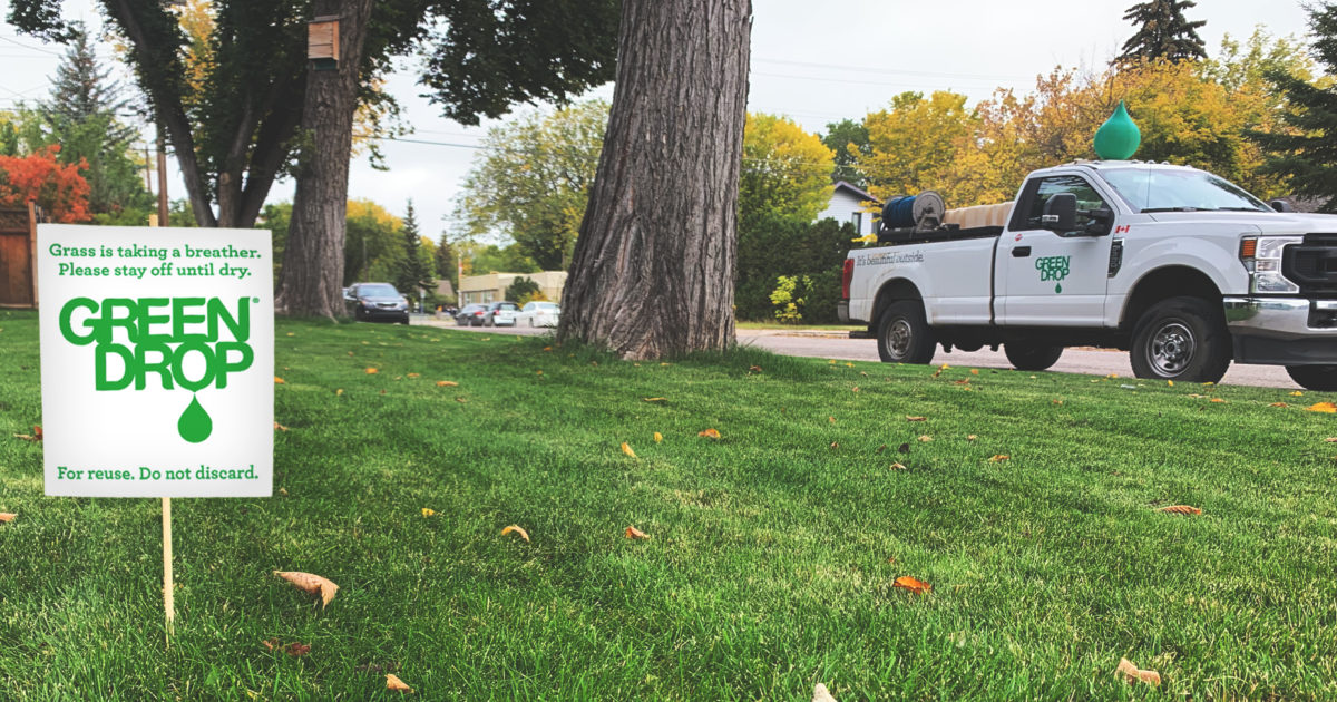 lawn care services