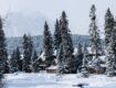 Lake Louise hotel